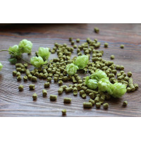 Хміль Теттнангер, врожай 2021, альфа 4,8%